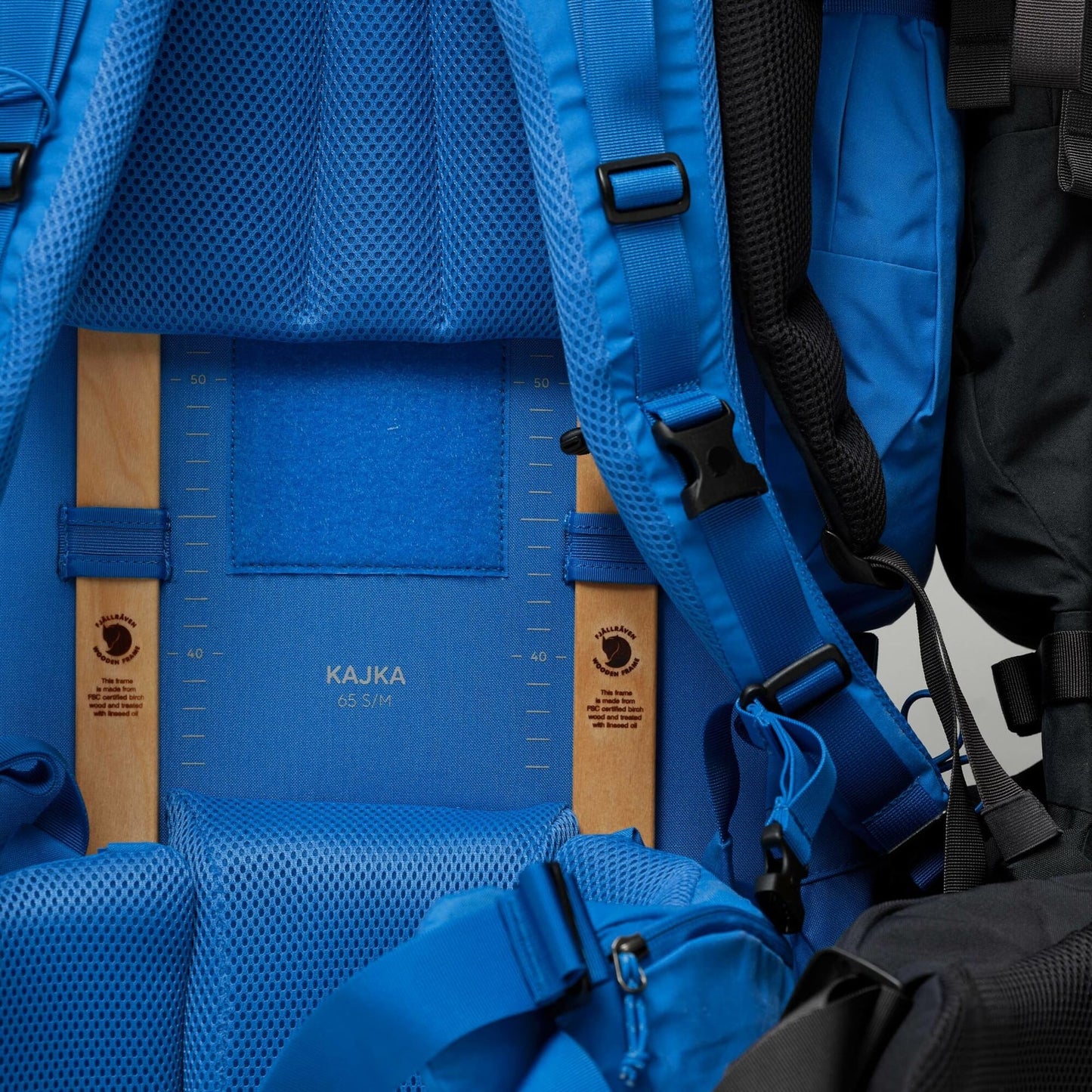 KAJKA 65 S/M - US 5188